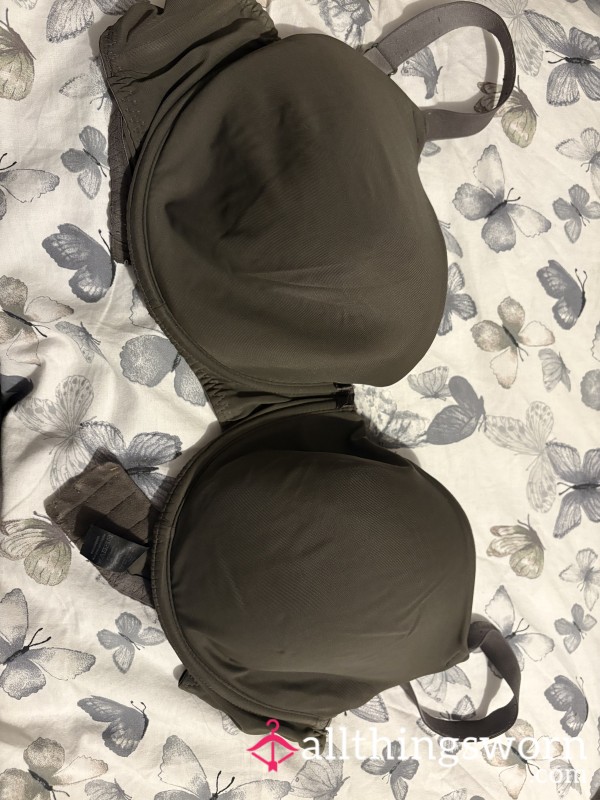 Well Worn Boned Bra