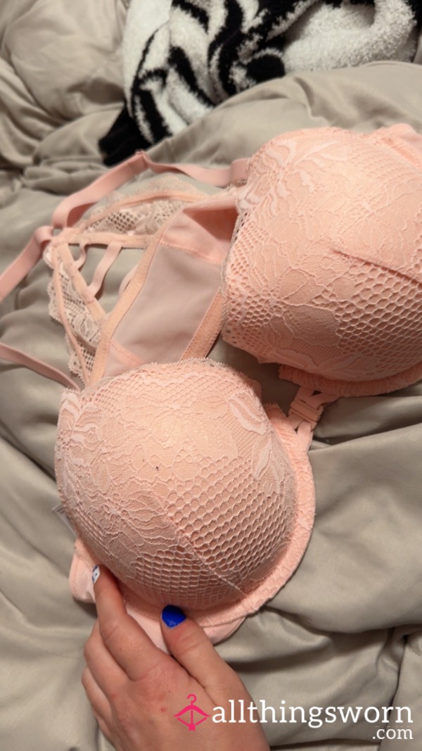 Well Worn Bra