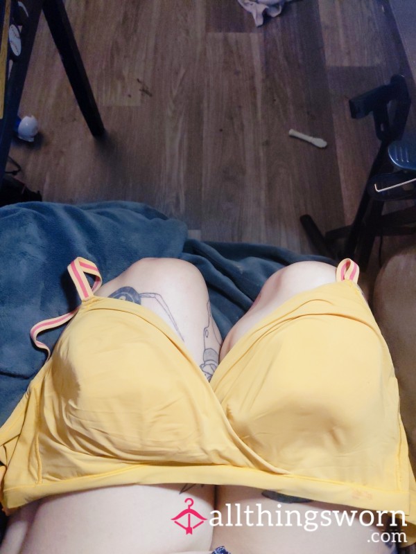 Well Worn Bra