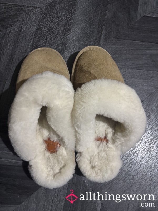 Well Worn Brown Slippers..