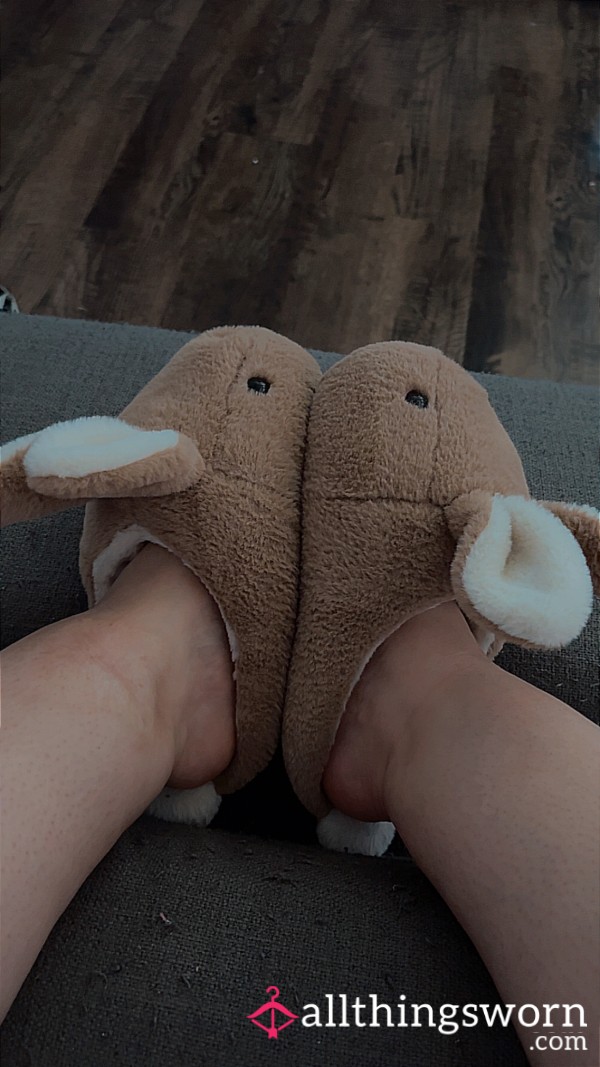 Well Worn Bunny Slippers