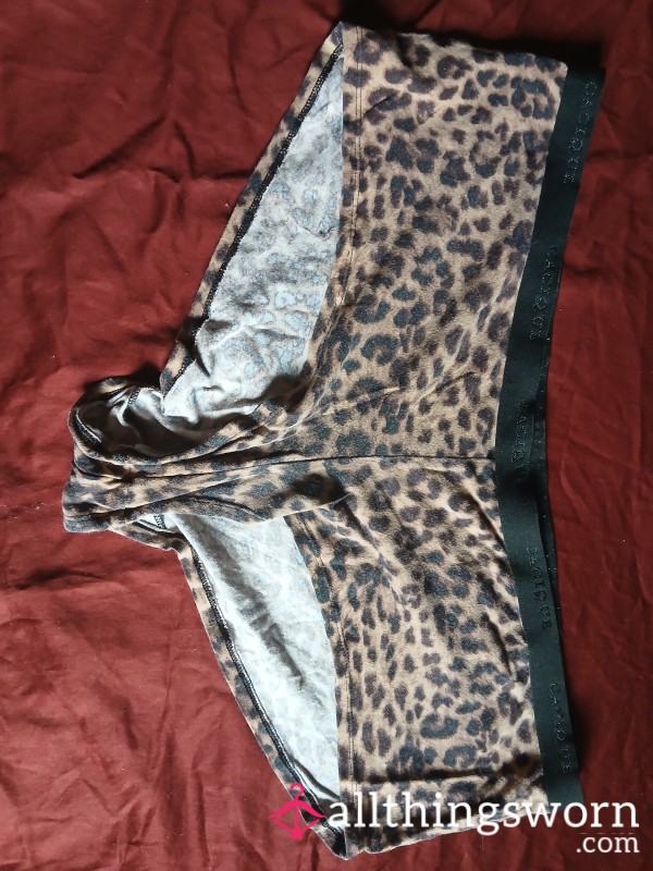 Well Worn Cheeky Boy Short Panties