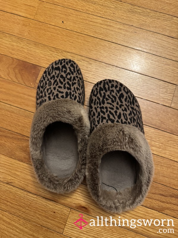 Well Worn Cheetah Slippers