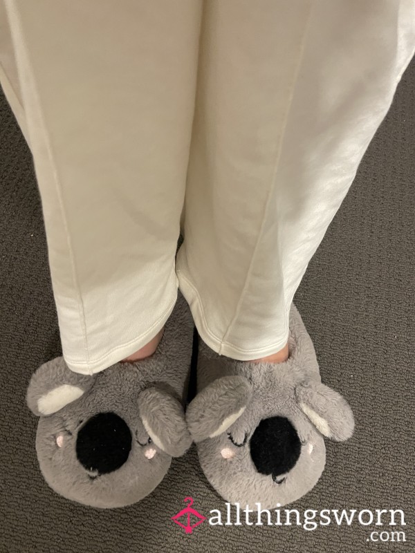 Well Worn Cute Slippers X