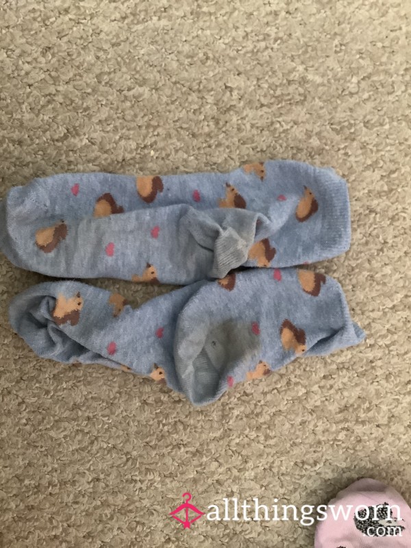 Well Worn Dirty Socks