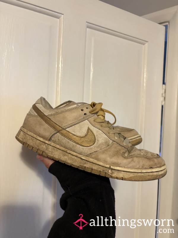 Well Worn Dunk Trainers