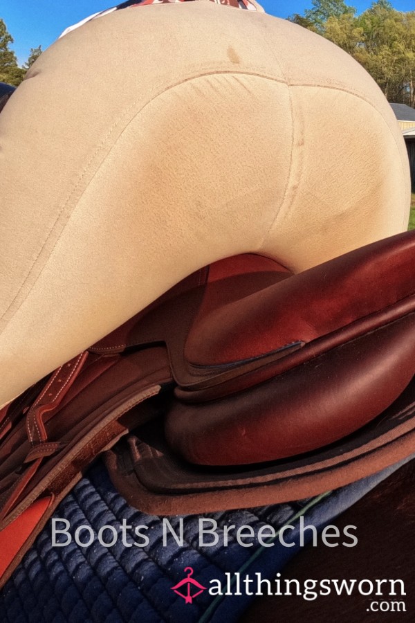 Well Worn Equestrian Breeches