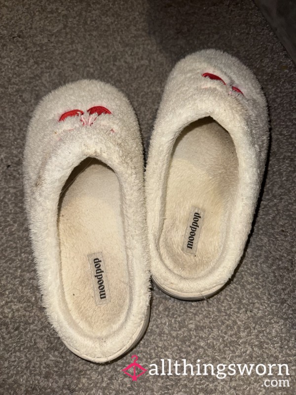 Well Worn Filthy Slippers