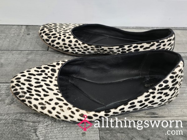 Well-worn Flat Shoes In A Delectable Leopard Print Design - Sweaty Smell Inside