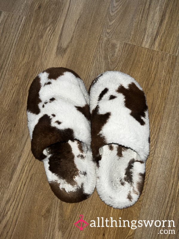 Well Worn Fluffy Slippers