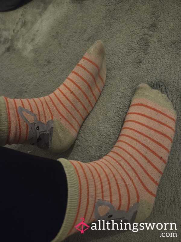 Well Worn Funky Dog Socks