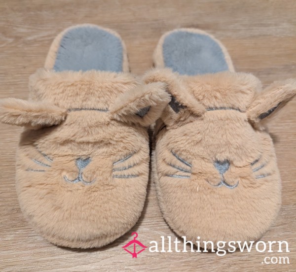 🐱 Well-Worn Furry Kitty Slippers 🐱