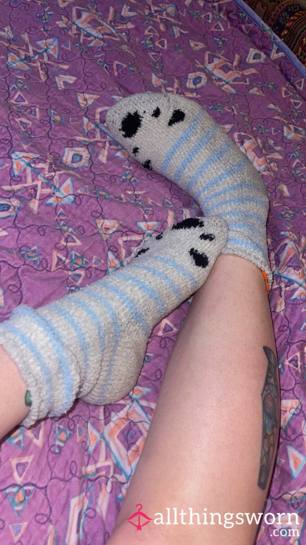Well Worn Fuzzy Bear Sock