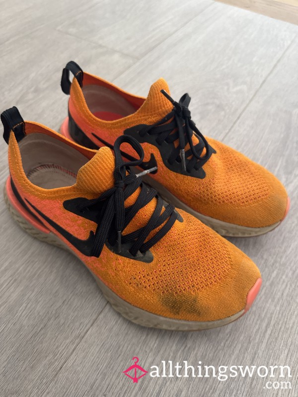 Well Worn Gym Trainers/sneakers