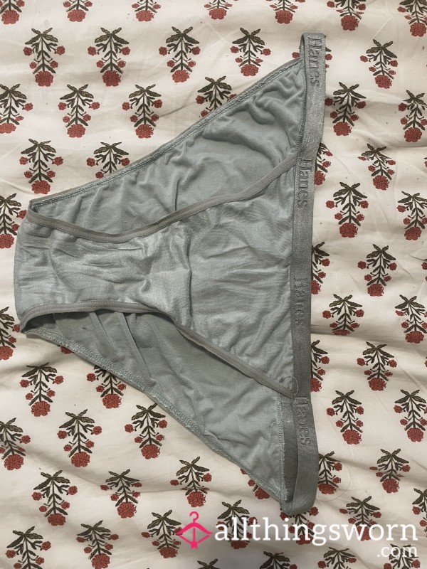 Well Worn Hanes Bikini Underwear