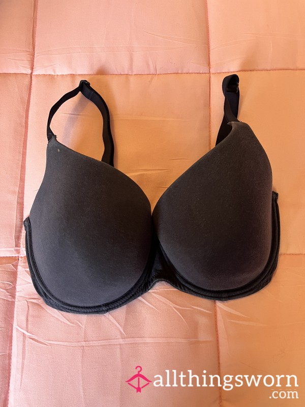 Well Worn Horse Riding Navy Bra Size 36c