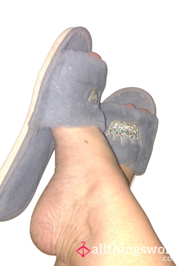 Well-worn House Slippers