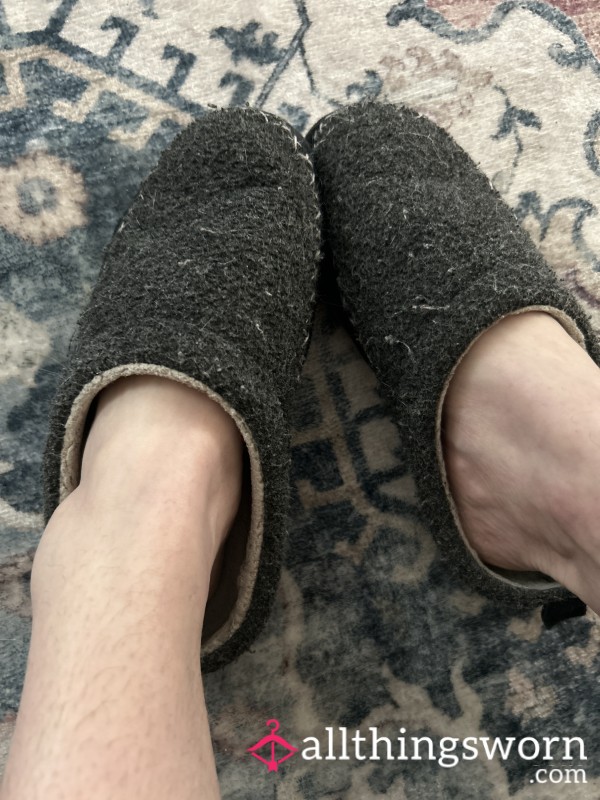 Well Worn House Slippers