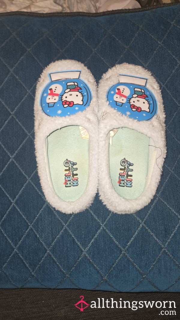 ✨️ Well Worn House Slippers ✨️