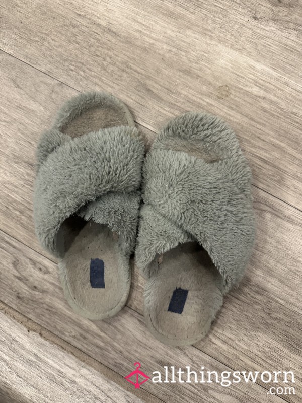 Well Worn House Slippers