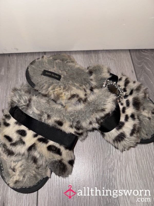 Well Worn House Slippers