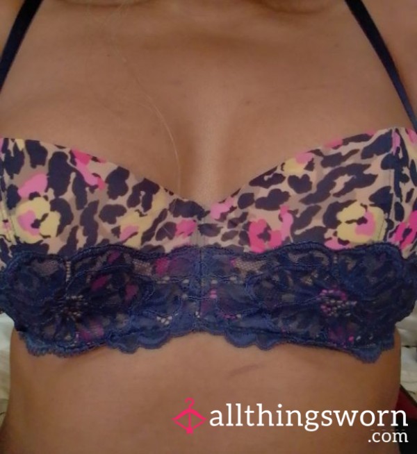 Well-worn Leopard Print Bra With Blue Lace Seduction. Size 34B