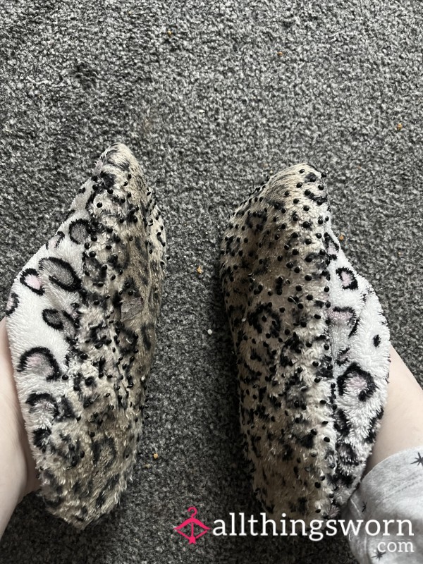 Well Worn, Loved And Trusty Slippers