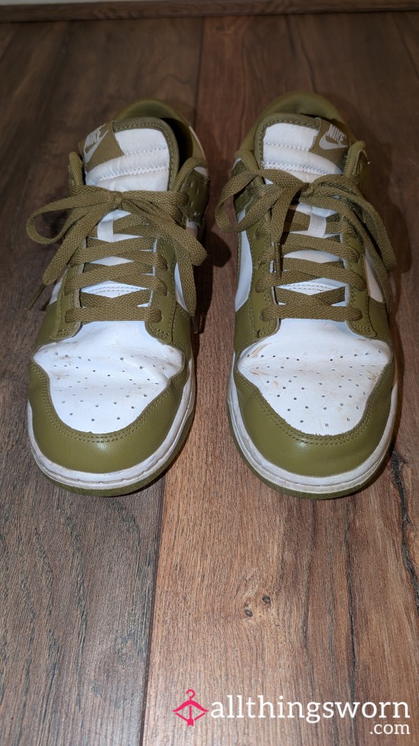 Well Worn Nike Dunks