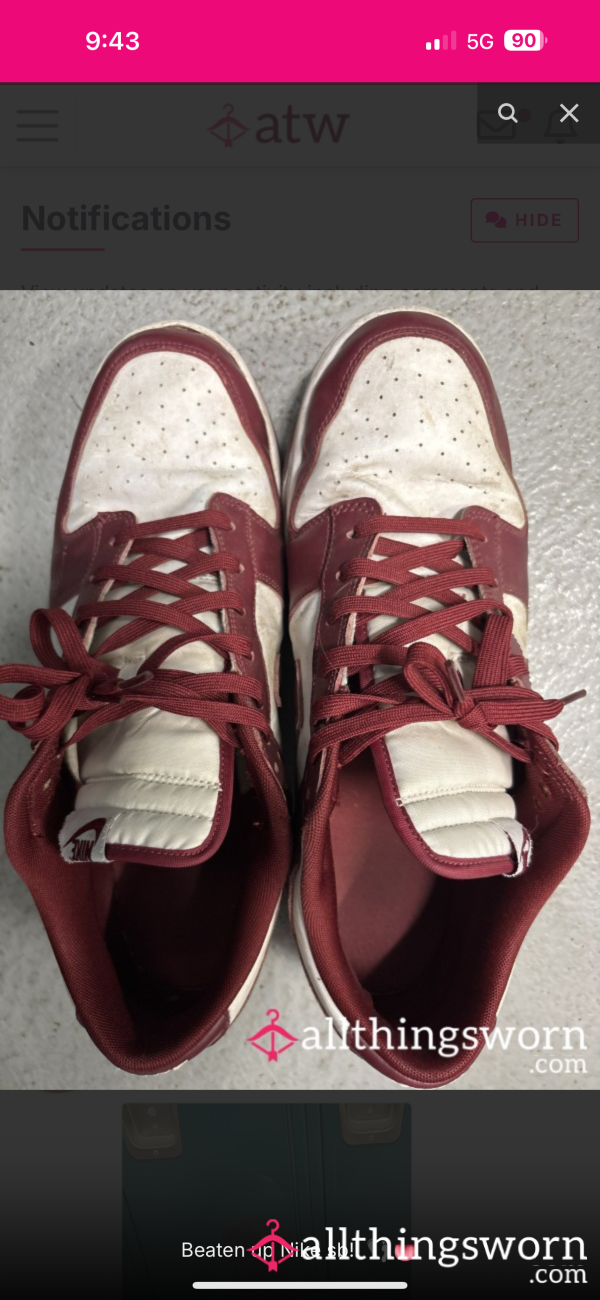 Well Worn Nike SB