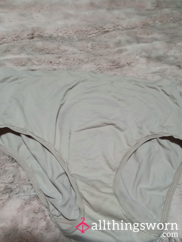 Well Worn Panty