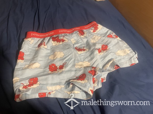 Well Worn Peter Alexander Breifs