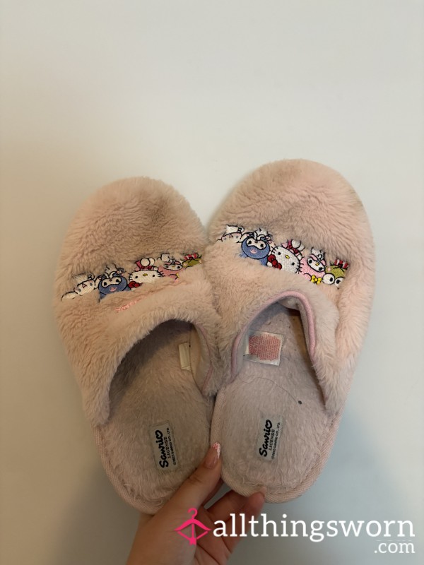 Well Worn Pink Slippers