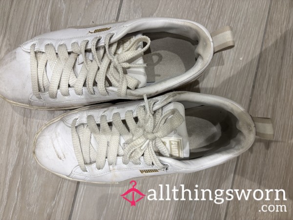 WELL WORN PUMAS