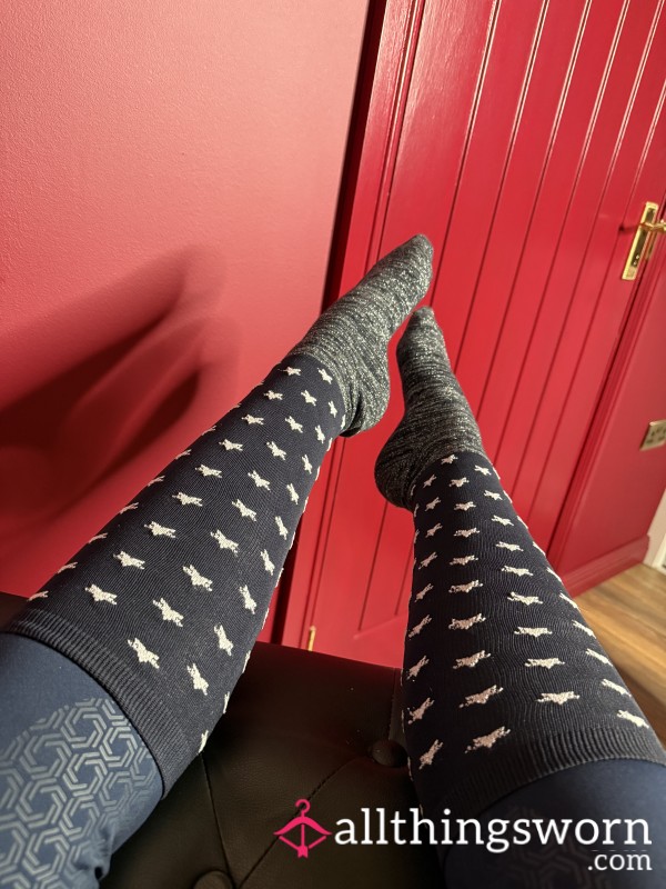 Well-Worn Riding Socks – Straight From My Boots 🧦🐎✨
