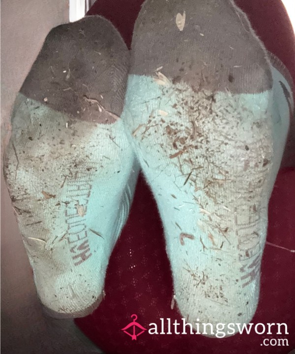 Well Worn Riding Socks Straight From The Stables (One Size)