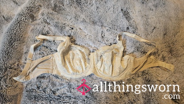 Well Worn Ripped Off White Bra