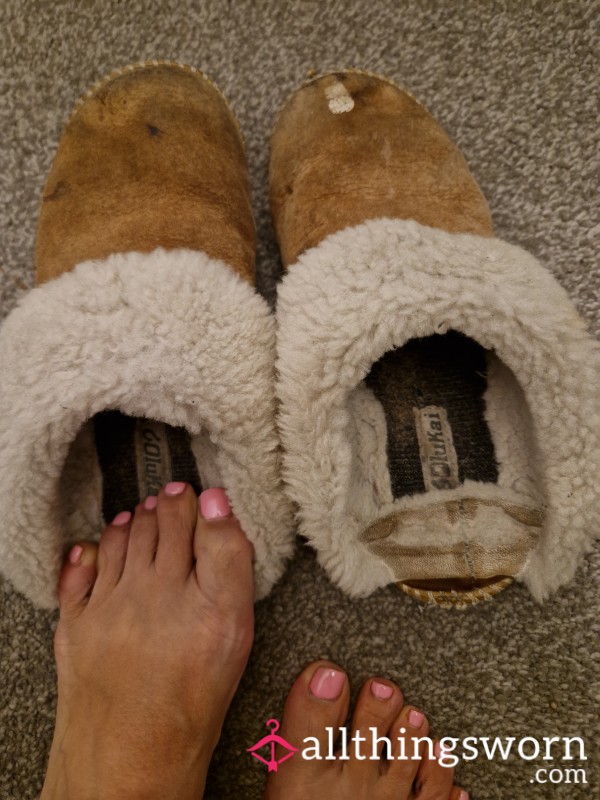 Well Worn Sheepskin Slippers, Used & Abused