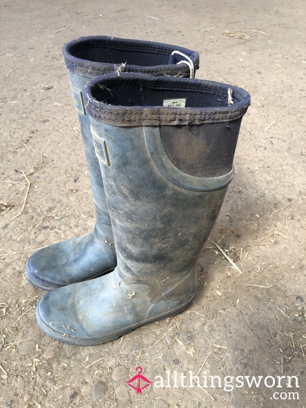 We’ll Worn Size 4 Stable Boots
