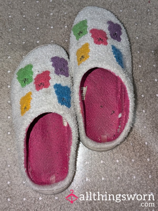 Well Worn Slipper