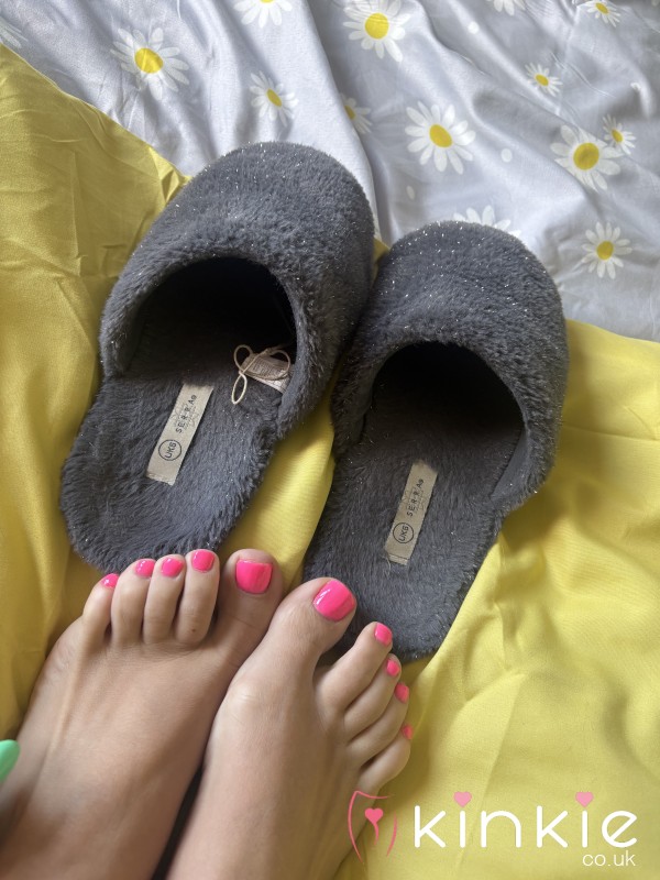 Well Worn Slipper Very Smelly