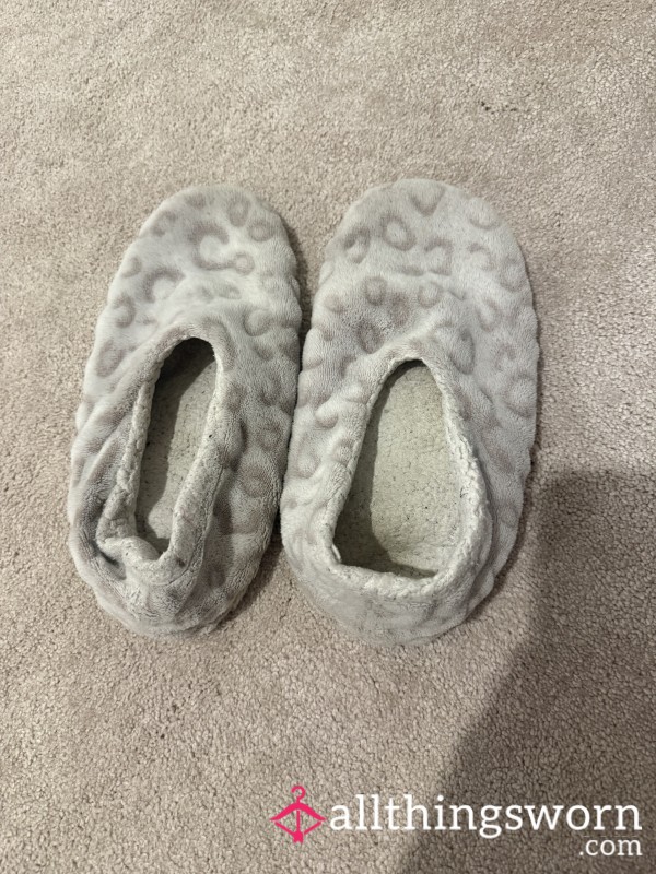 Well Worn Slippers