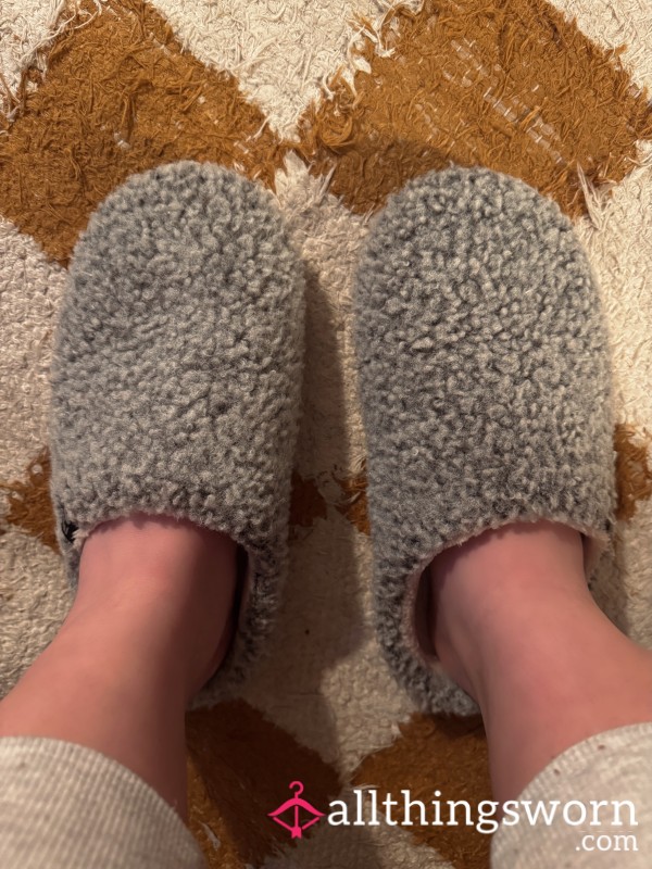 Well Worn Slippers