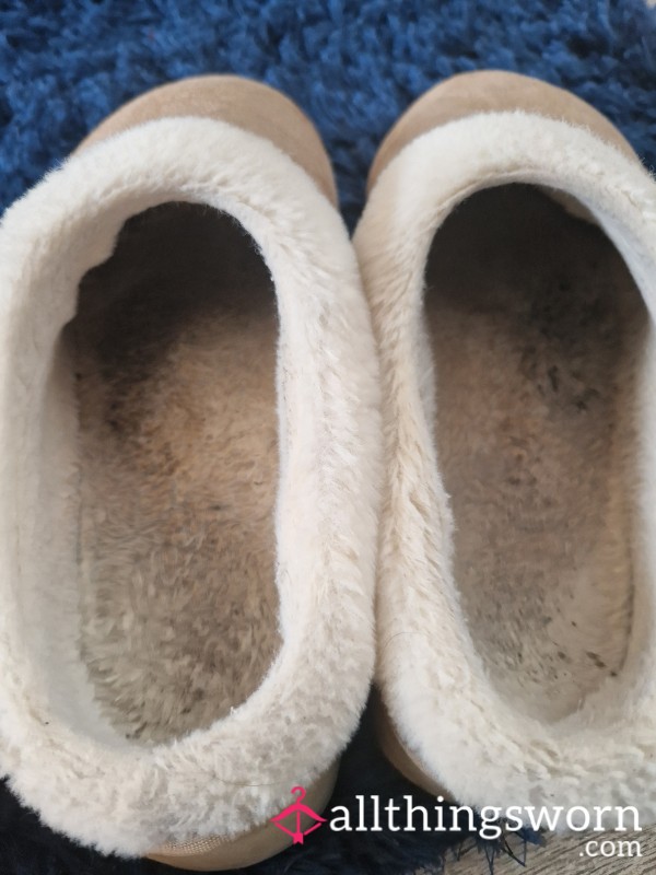 Well Worn Slippers