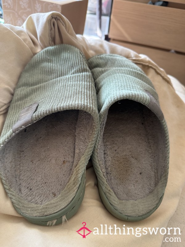 Well Worn Slippers.