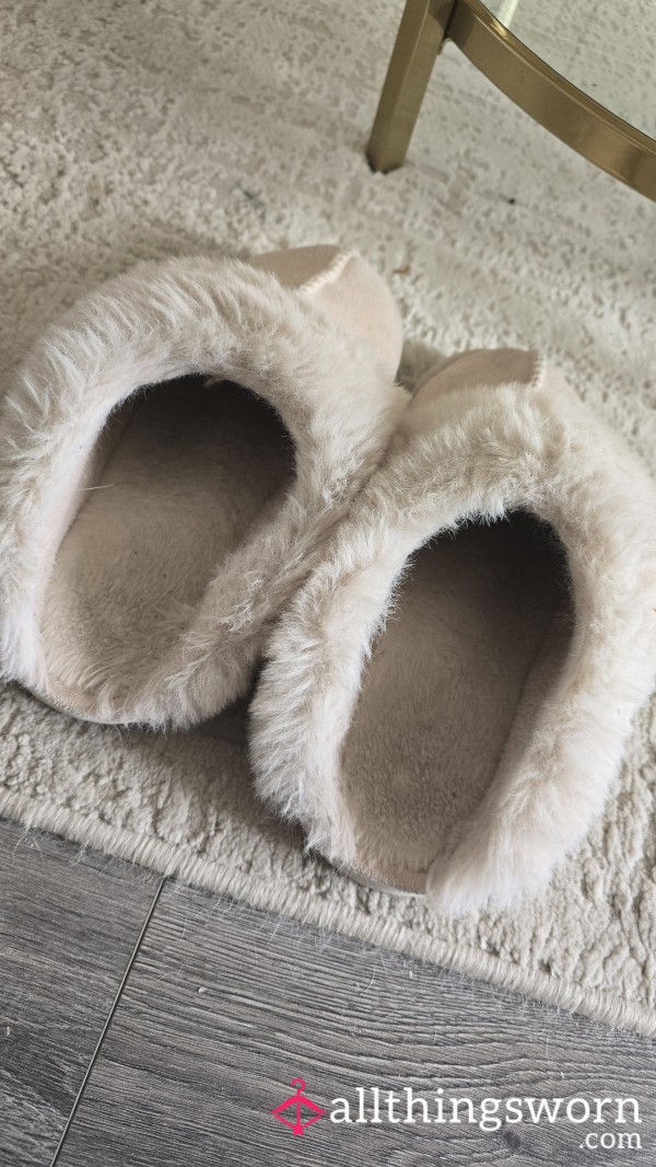 Well Worn Slippers