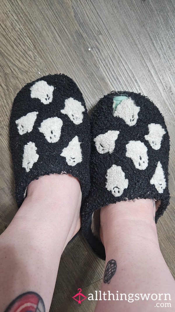 Well Worn Slippers