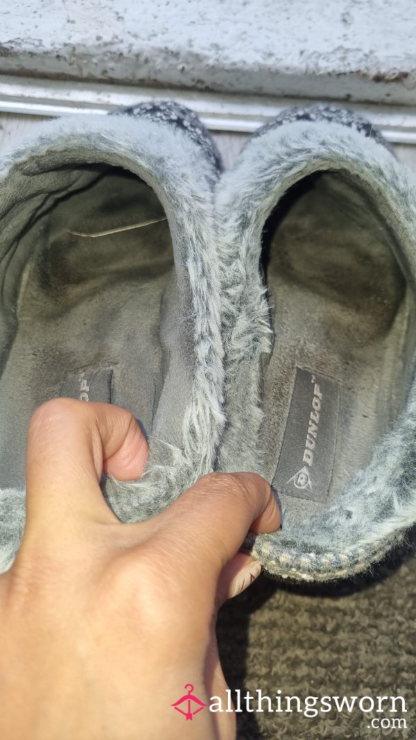 Well Worn Slippers