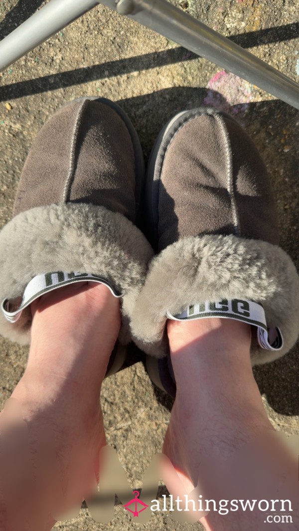 Well Worn Slippers