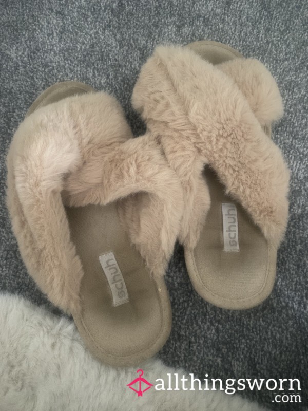 Well Worn Slippers