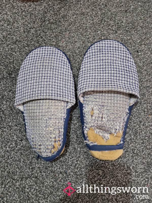 Well Worn Slippers